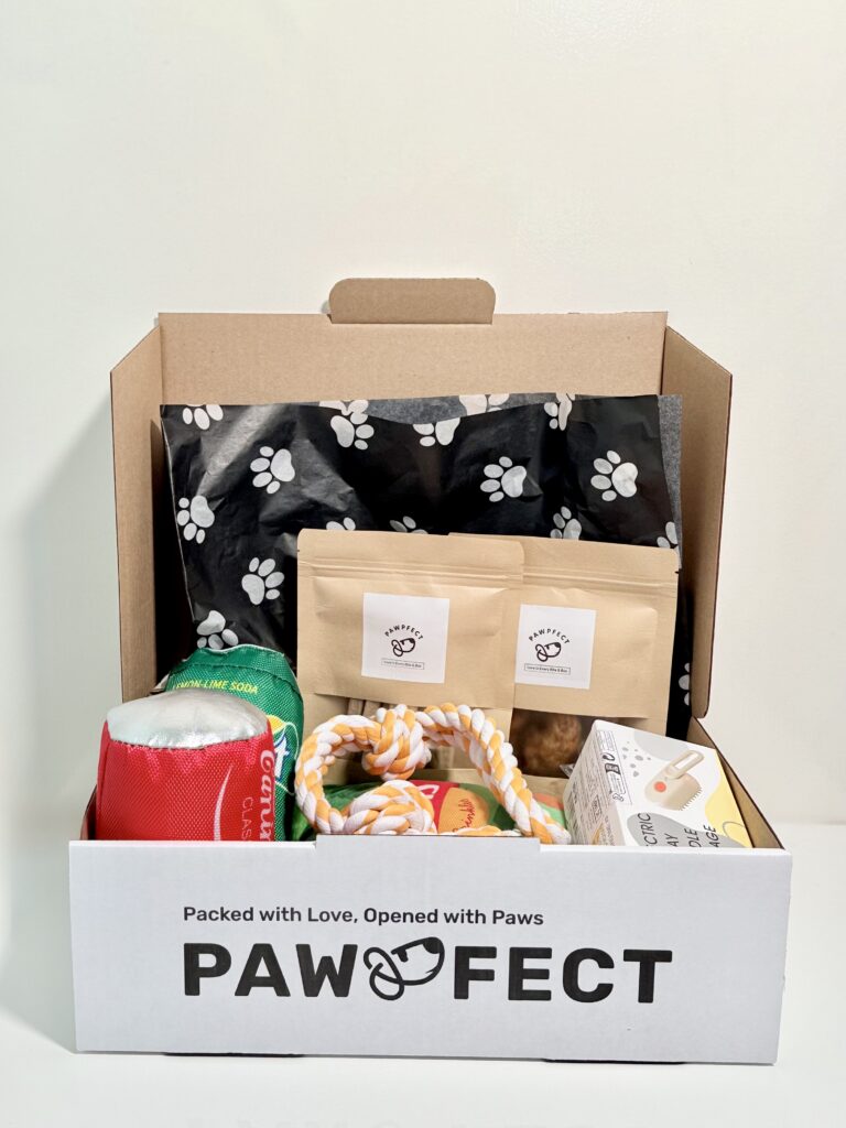 Why Pawpfect is the Best Dog Subscription Box in Australia