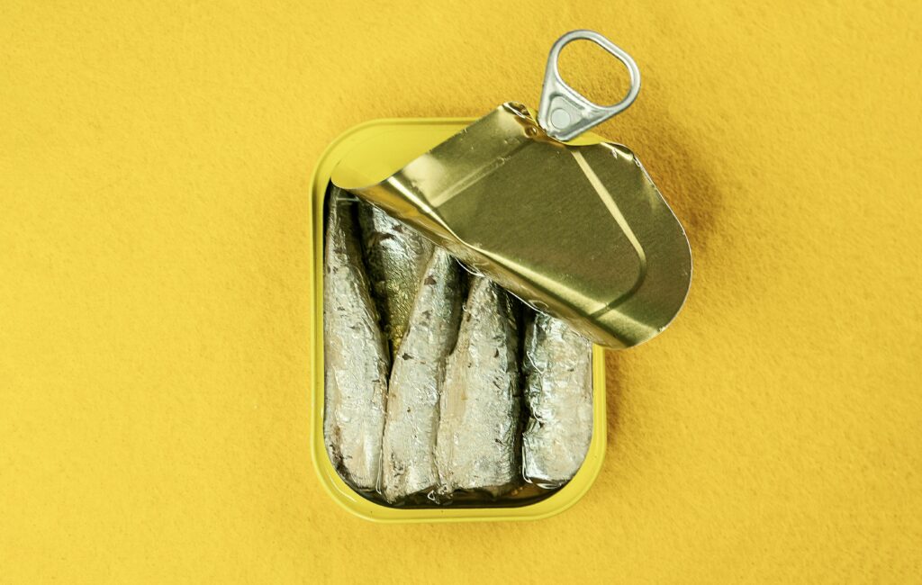 Sardines: The One-Ingredient Superfood Your Dog Will Love