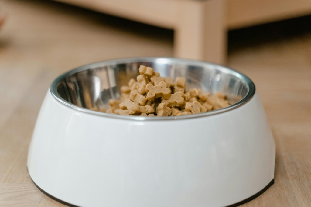 6 Must-Try Kibble Toppers for Long-Lived Dogs: Boost Your Pup’s Health Naturally